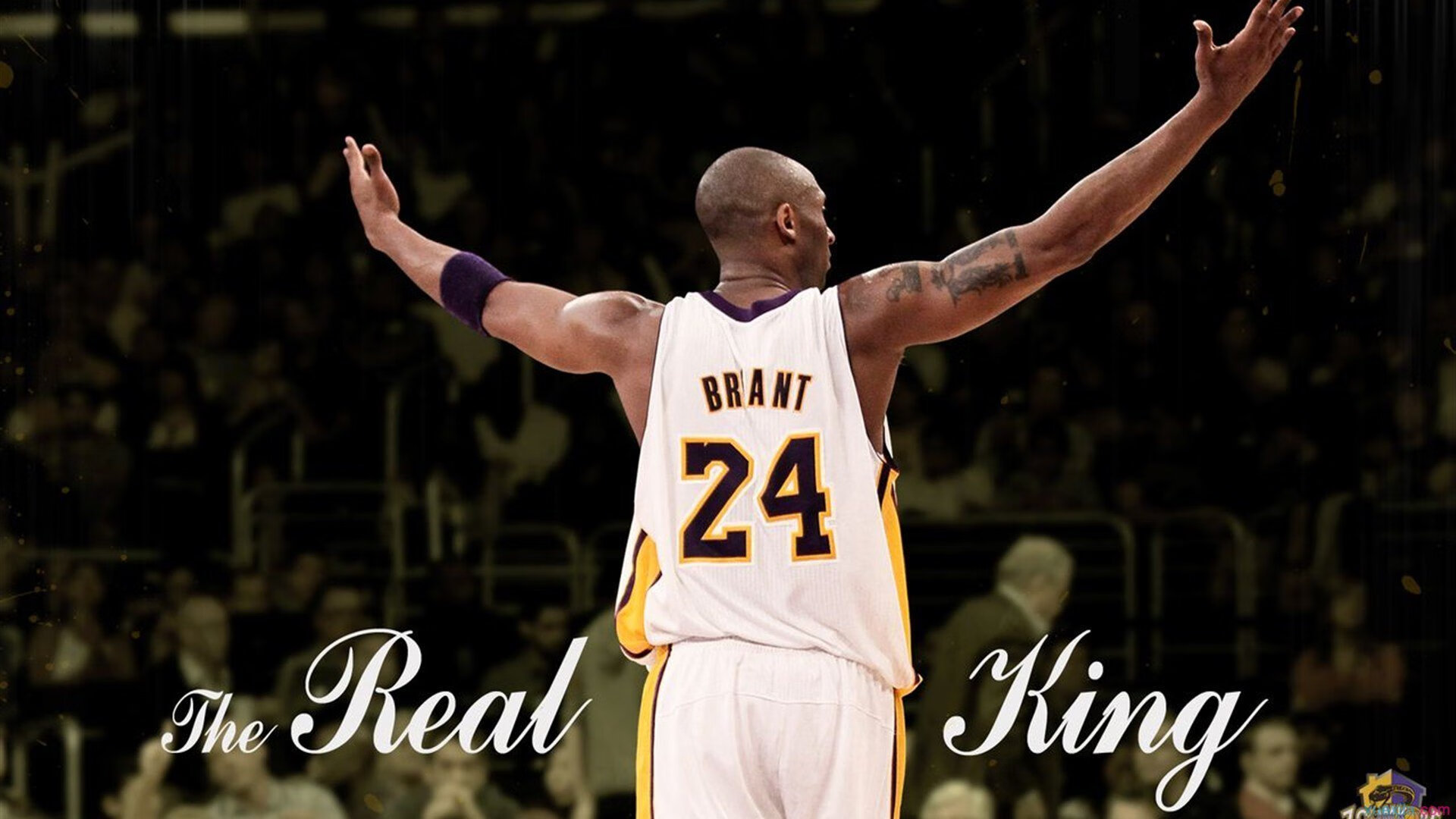 新西兰全黑队战术纪律严明，进攻防守游刃有余，新西兰全黑战舞视频